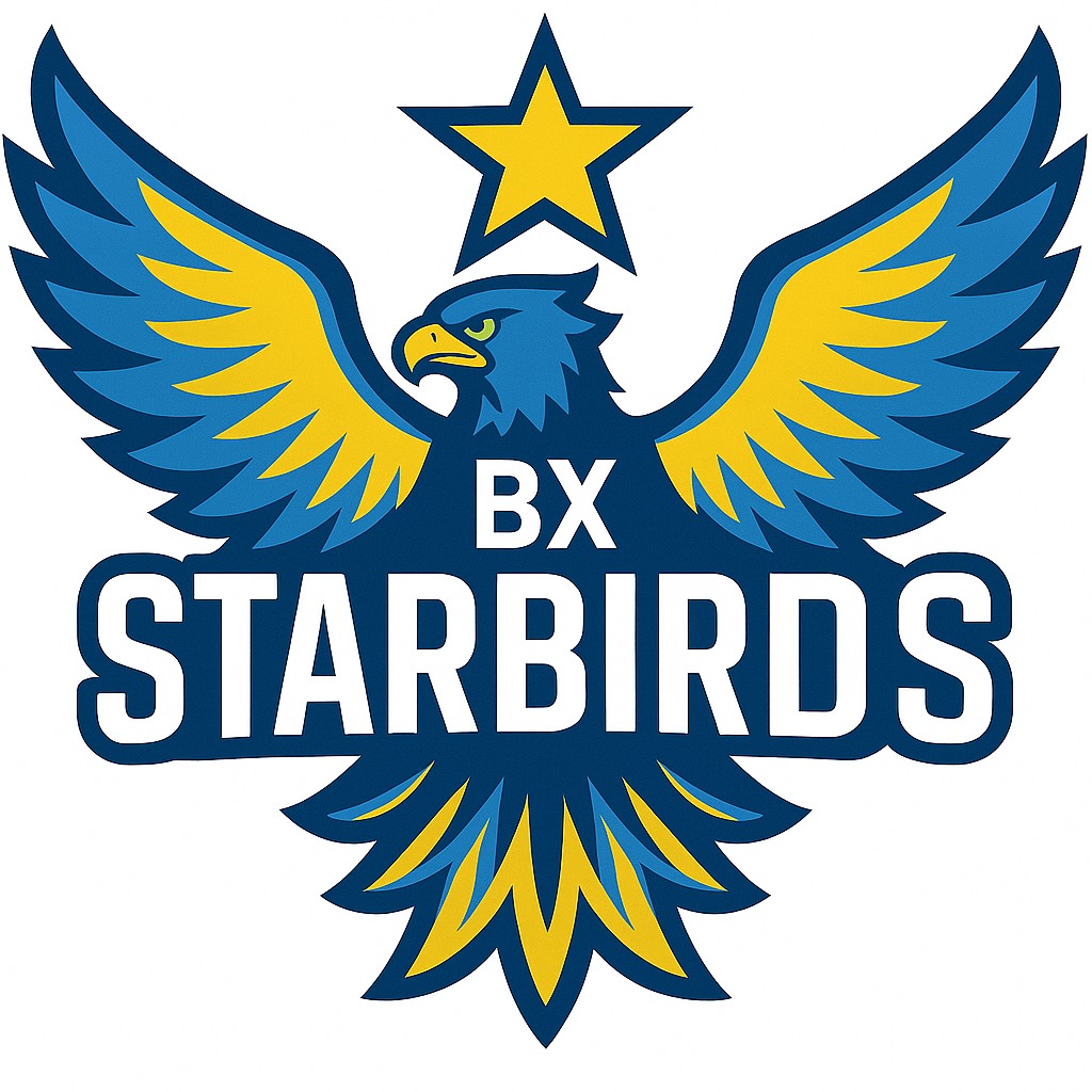 Star Birds Logo
